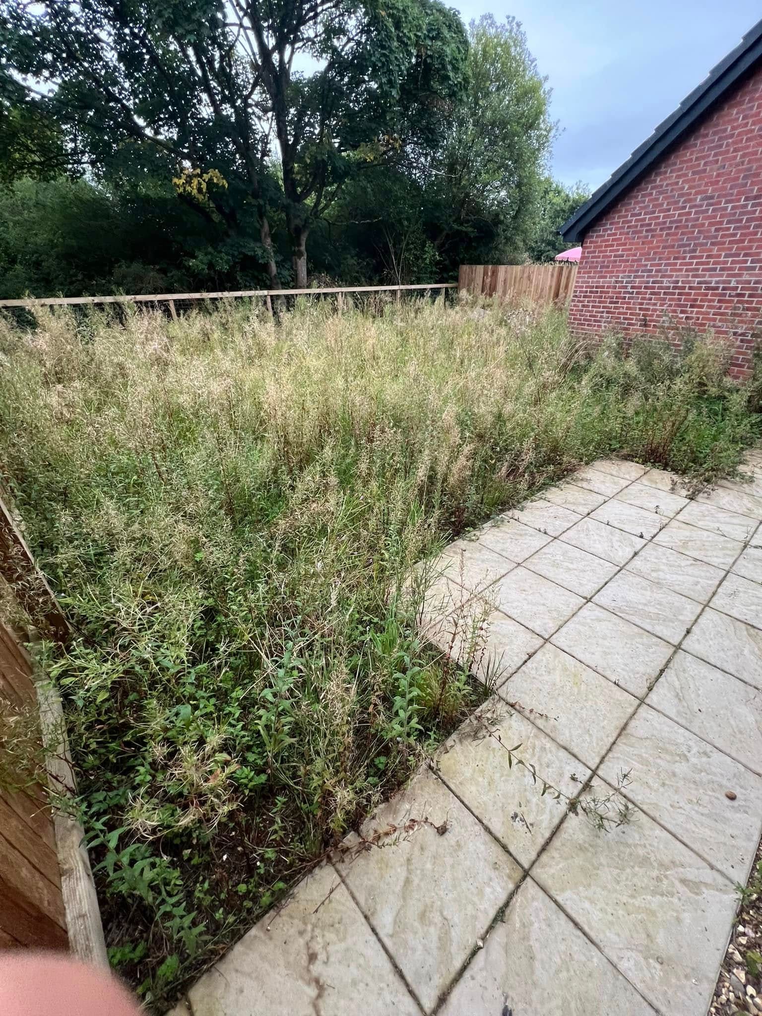 Before: bare garden next to brick wall